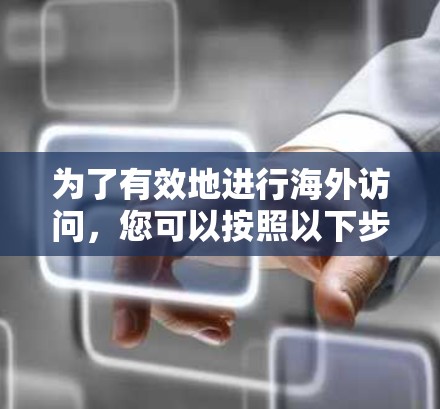 为了有效地进行海外访问，您可以按照以下步骤进行