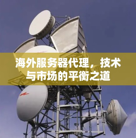 海外服务器代理，技术与市场的平衡之道