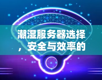 潮湿服务器选择,安全与效率的平衡 潮湿服务器选择,安全与效率的平衡