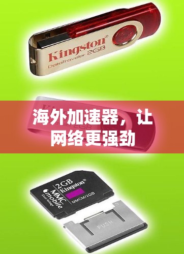 海外加速器，让网络更强劲
