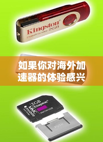 如果你对海外加速器的体验感兴趣，以下是一些常见的海外加速器及其体验，供你参考
