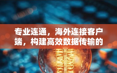 专业连通，海外连接客户端，构建高效数据传输的未来