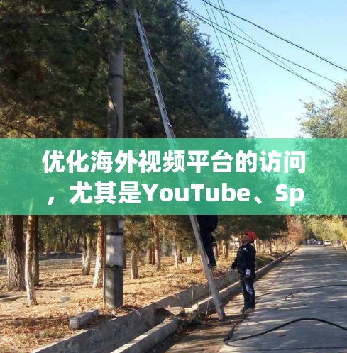 优化海外视频平台的访问，尤其是YouTube、Spotify等平台，需要综合考虑平台的访问限制、内容质量和用户体验。以下是一些实用的优化方法