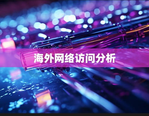 海外网络访问分析