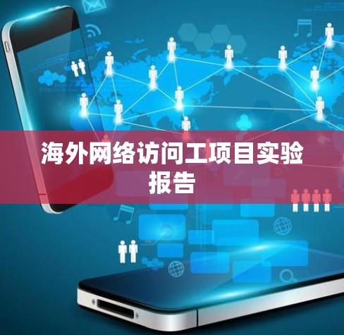 海外网络访问工项目实验报告