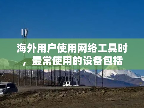 海外用户使用网络工具时，最常使用的设备包括