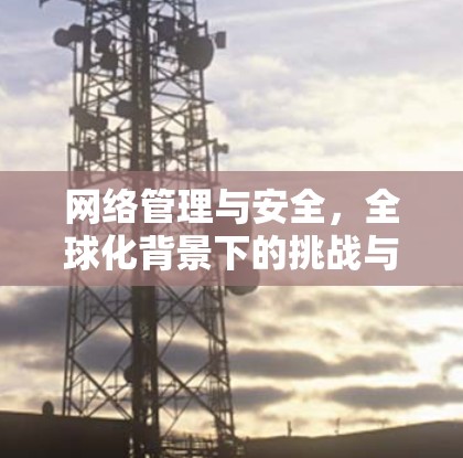 网络管理与安全，全球化背景下的挑战与解决方案