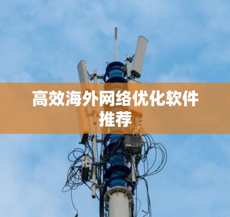 高效海外网络优化软件推荐