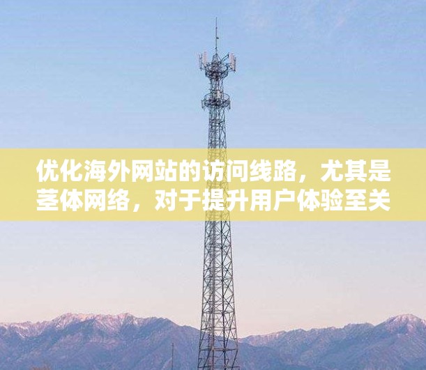 优化海外网站的访问线路,尤其是茎体网络,对于提升用户体验至关重要。以下是一个结构化的优化教程指南,涵盖必要的步骤和具体实施方法 优化海外网站的访问线路,尤其是茎体网络,对于提升用户体验至关重要。以下是一个结构化的优化教程指南,涵盖必要的步骤和具体实施方法