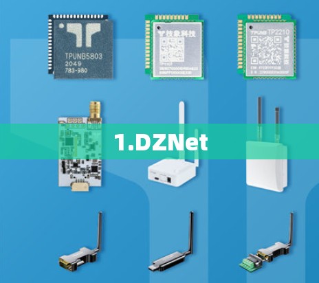 1.DZNet