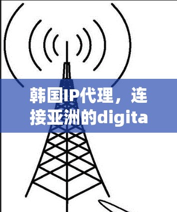 韩国IP代理，连接亚洲的digital future