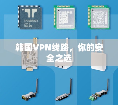 韩国VPN线路，你的安全之选