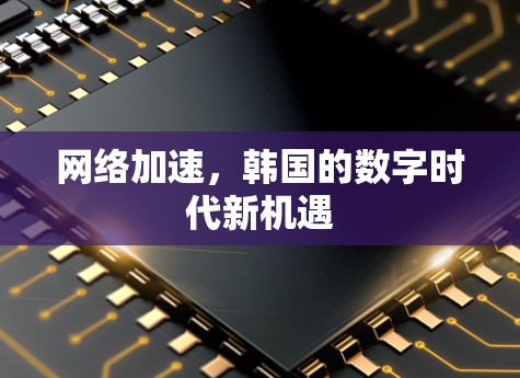 网络加速,韩国的数字时代新机遇 网络加速,韩国的数字时代新机遇
