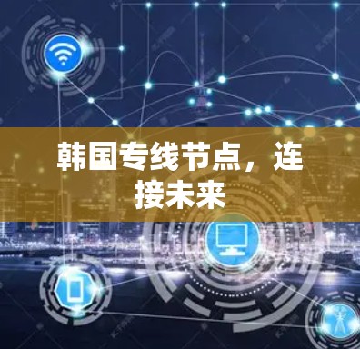 韩国专线节点，连接未来