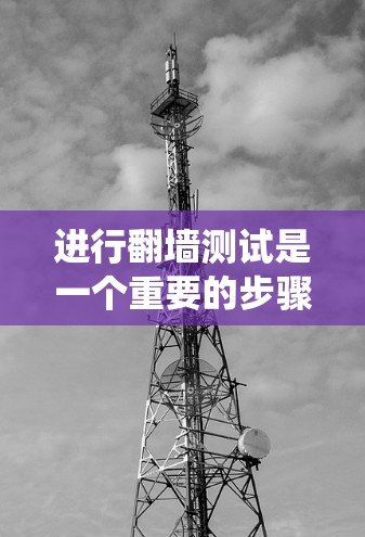 进行翻墙测试是一个重要的步骤，用于确保网站的安全性。以下是一些系统性地指导，帮助您有效地进行翻墙测试