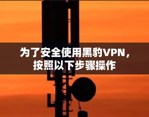 为了安全使用黑豹VPN，按照以下步骤操作
