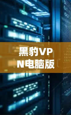 黑豹VPN电脑版，如何设置WindowsVPN