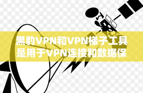 黑豹VPN和VPN梯子工具是用于VPN连接和数据保护的工具,但它们的主要功能和用途有所不同。以下是关于黑豹VPN翻墙软件和VPN梯子工具的详细信息 黑豹VPN和VPN梯子工具是用于VPN连接和数据保护的工具,但它们的主要功能和用途有所不同。以下是关于黑豹VPN翻墙软件和VPN梯子工具的详细信息