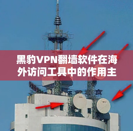黑豹VPN翻墙软件在海外访问工具中的作用主要体现在以下几点