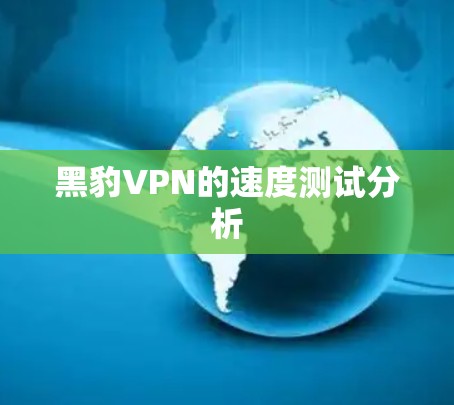 黑豹VPN的速度测试分析