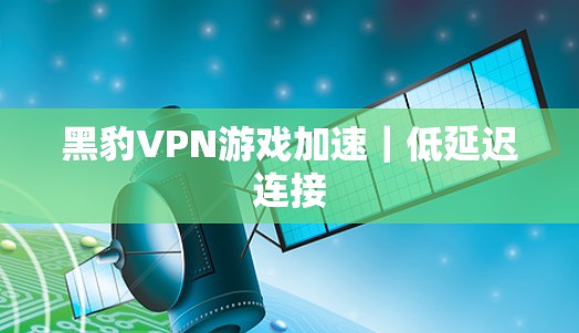 黑豹VPN游戏加速｜低延迟连接