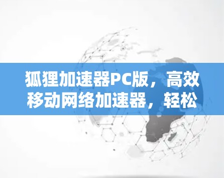 狐狸加速器PC版，高效移动网络加速器，轻松轻松！