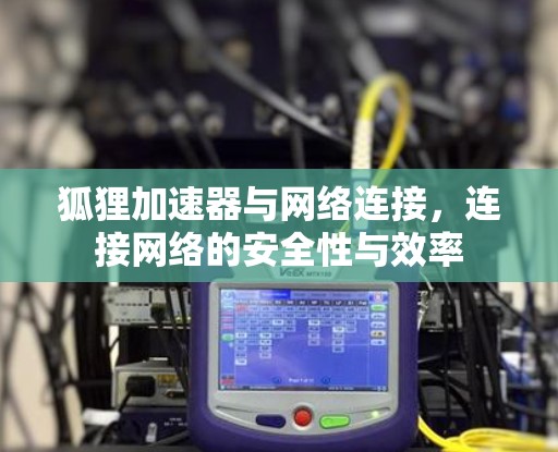 狐狸加速器与网络连接,连接网络的安全性与效率 狐狸加速器与网络连接,连接网络的安全性与效率