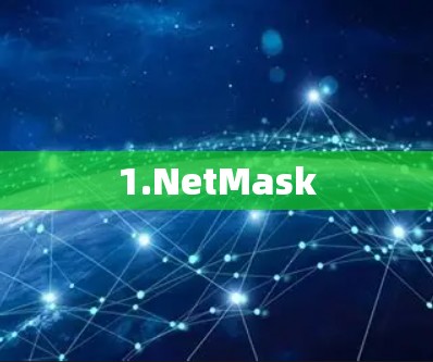 1.NetMask