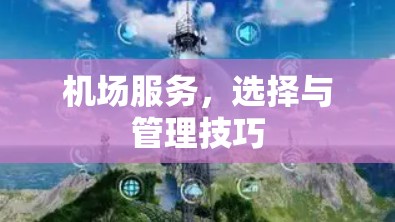 机场服务，选择与管理技巧