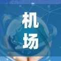 机场节点检测工具主要用于通过图像识别技术定位机场中的重要节点，如航站楼、起飞跑道和停机坪，这些节点对于机场的安全管理和维护至关重要。以下是对这些工具的详细分析和总结