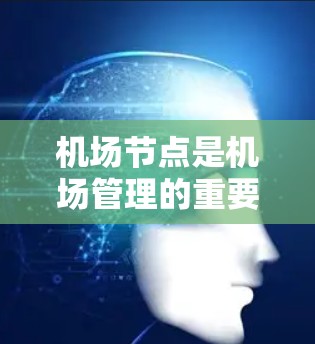 机场节点是机场管理的重要组成部分，主要包括飞行控制中心、航站楼和机场信息平台。以下是对这些节点的详细说明