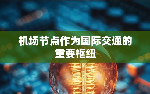 机场节点作为国际交通的重要枢纽