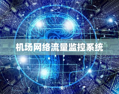 机场网络流量监控系统 机场网络流量监控系统