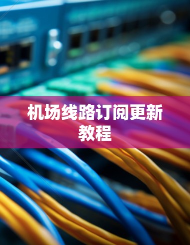 机场线路订阅更新教程