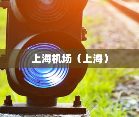 上海机场(上海) 上海机场(上海)