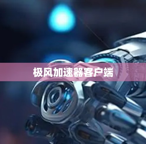 极风加速器客户端
