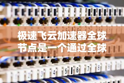 极速飞云加速器全球节点是一个通过全球网络协作加速服务器的加速器，旨在提高服务器的处理速度和资源利用率。以下是对该概念的详细分析
