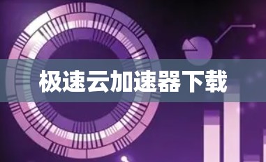 极速云加速器下载