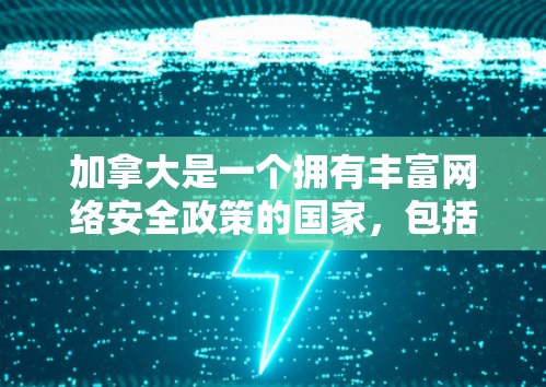 加拿大是一个拥有丰富网络安全政策的国家，包括对互联网和网络服务的监管。尽管加拿大拥有一个复杂的网络环境，但并不像许多国家那样完全禁止VPN服务。以下是关于加拿大VPN节点的一些信息