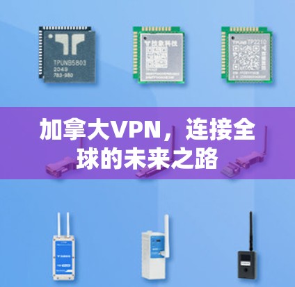 加拿大VPN，连接全球的未来之路