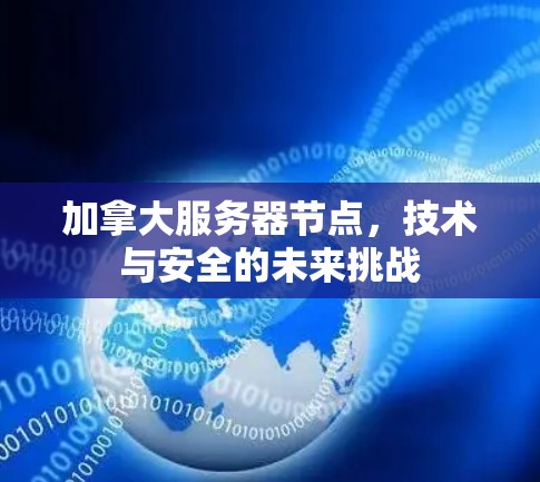 加拿大服务器节点，技术与安全的未来挑战
