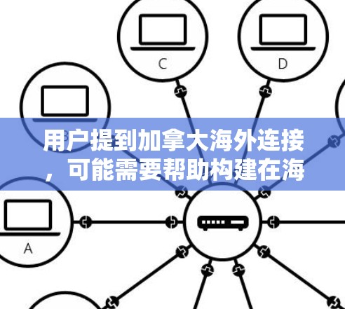 用户提到加拿大海外连接，可能需要帮助构建在海外的联系，包括合作伙伴、客户、市场拓展等。以下是一些可能的建议和步骤
