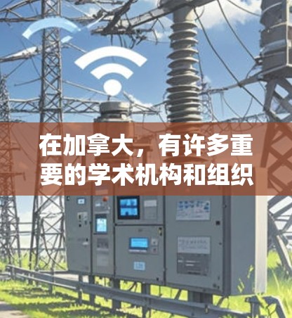 在加拿大，有许多重要的学术机构和组织，这些机构在科学研究、教育、文化等领域发挥着重要作用。以下是一些重要的加拿大节点和机构