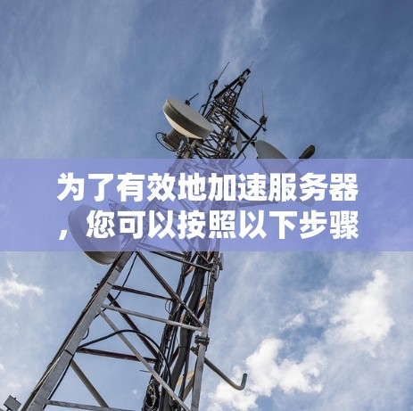 为了有效地加速服务器，您可以按照以下步骤进行