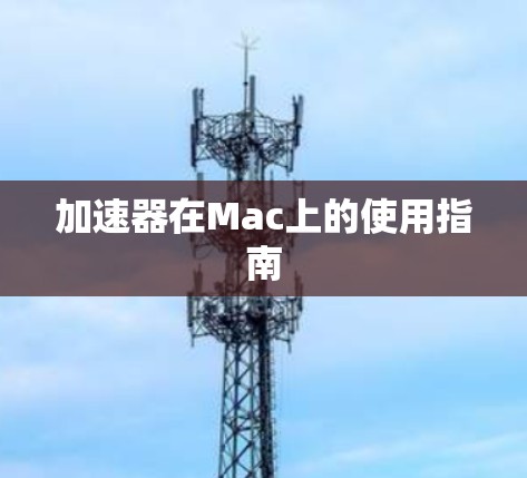 加速器在Mac上的使用指南