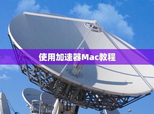 使用加速器Mac教程