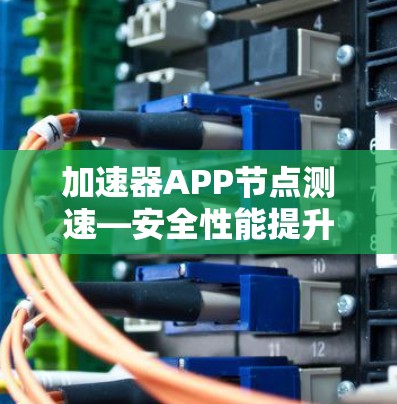 加速器APP节点测速—安全性能提升专家