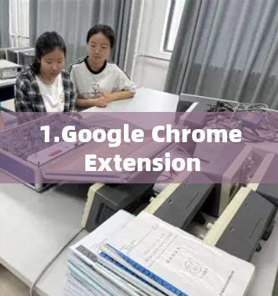 1.Google Chrome Extension