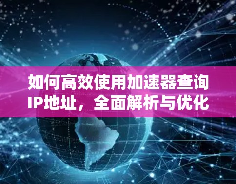 如何高效使用加速器查询IP地址，全面解析与优化建议