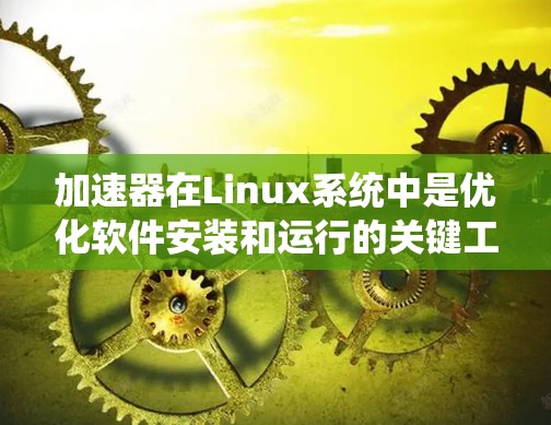 加速器在Linux系统中是优化软件安装和运行的关键工具，显著提升了用户体验。以下是关于加速器的支持情况的详细说明